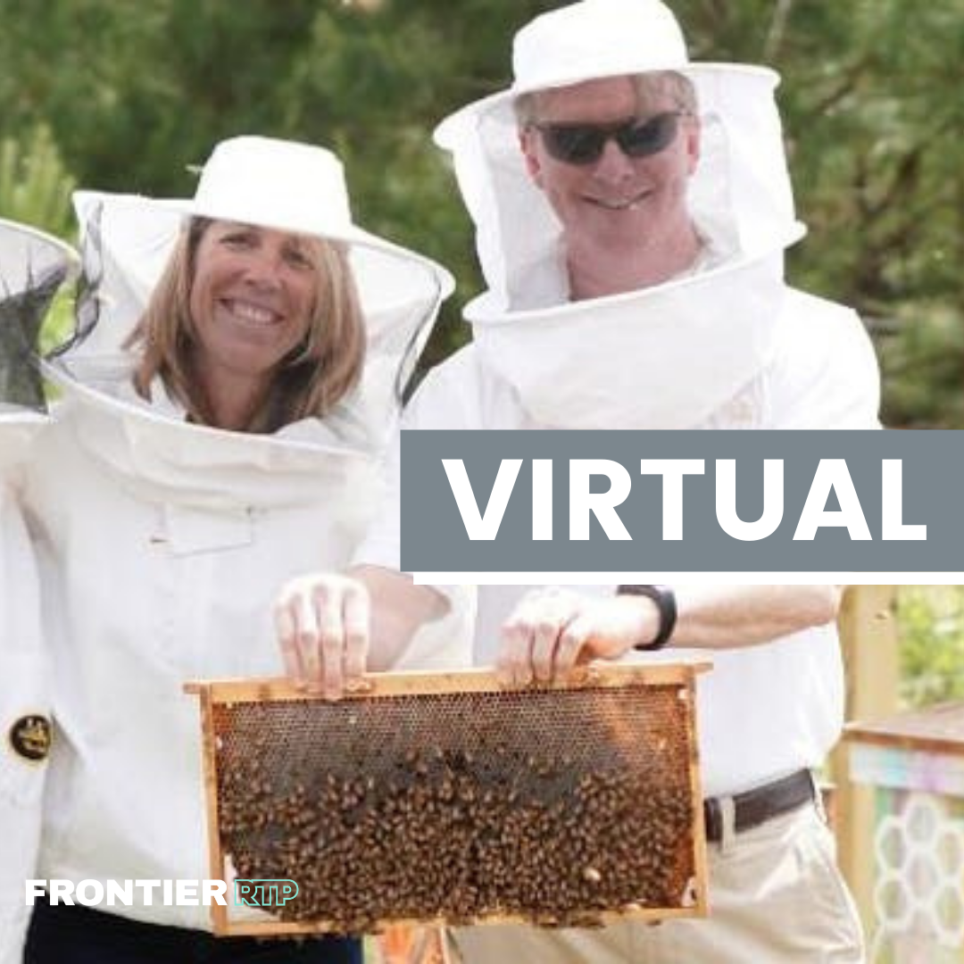Virtual Bee Tour