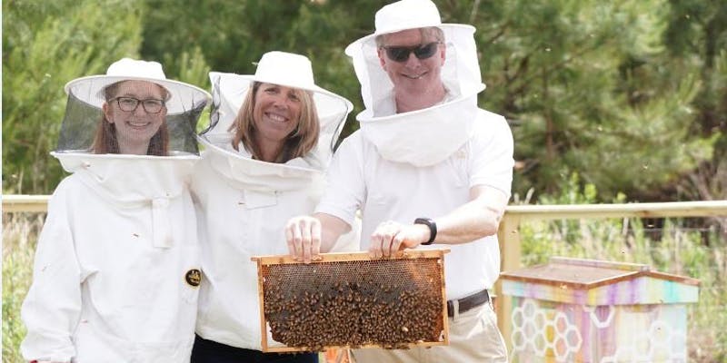 Bee hive tour picture of three attendees in their suit holding a hive